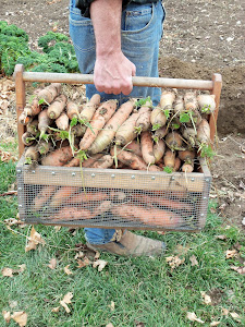 A Planet Whizbang Garden Tote in Action