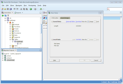 Sybase and SQL Server Image Data Move