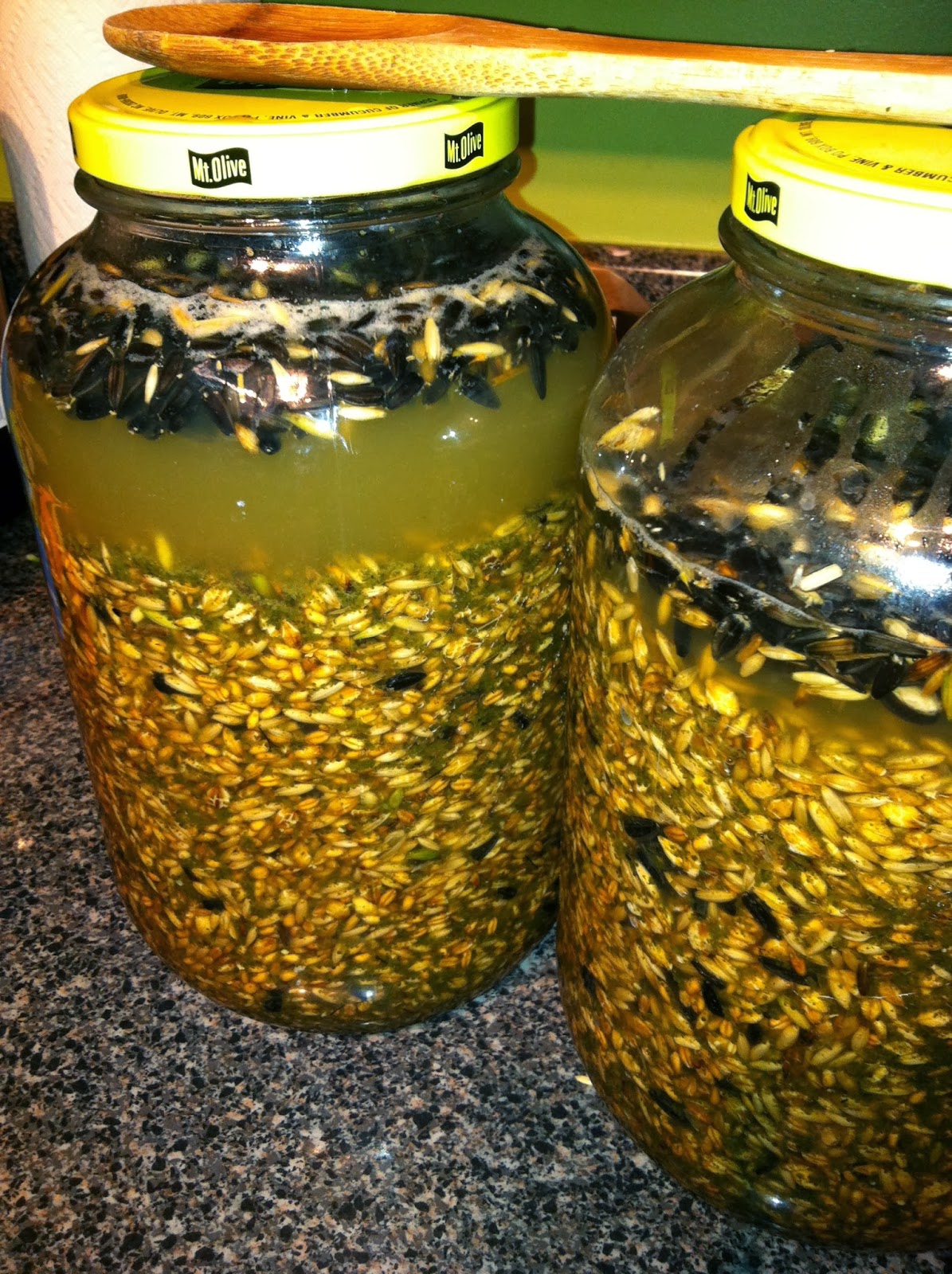 Homestead Catholic DIY Fermented Chicken Feed