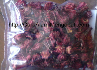 Khasiat teh bunga rosella merah untuk kesehatan obat diet kecantikan Khasiat teh bunga rosella merah untuk kesehatan obat diet kecantikan