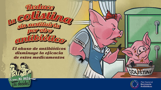 cartel promocional para reducir el uso de colistina en porcino