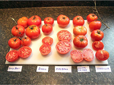 Here are five more varieties. There were definitely differences in texture, size, shape and the number of seeds.