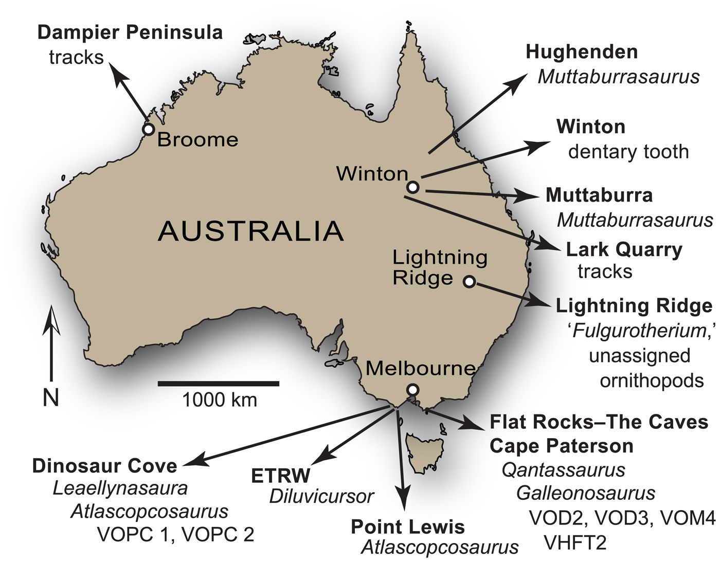 Species New to Science: [Paleontology • 2019] Galleonosaurus dorisae ...