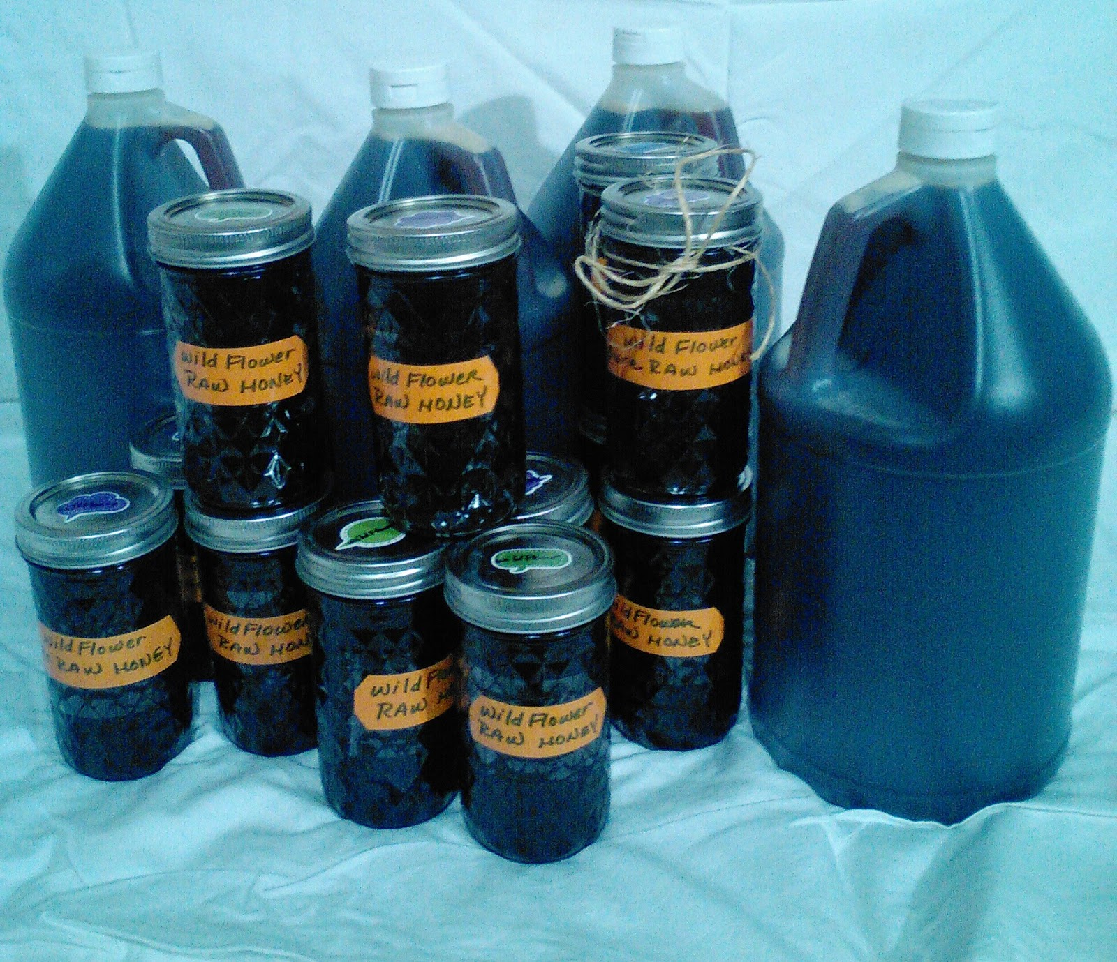 Things To Do In Tampa Local Raw Wild Flower Dark Honey for sale in