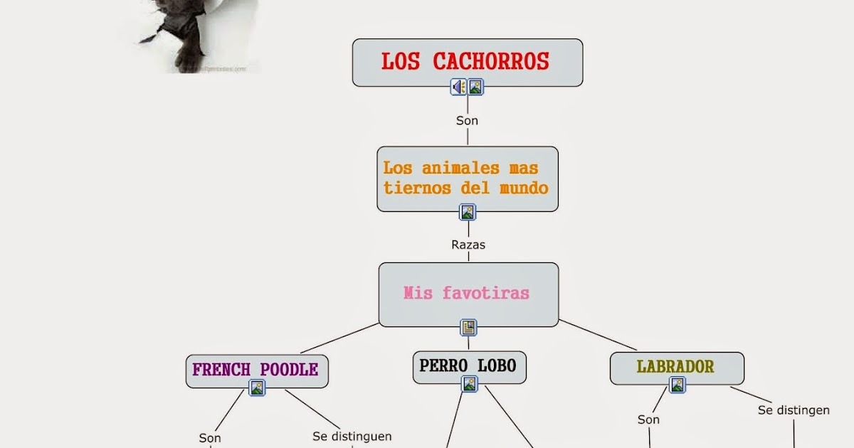 CACHORROS Mapa conceptual, Los cachorros CACHORROS Mapa conceptual, Los cachorros