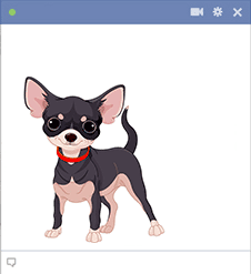 Black chihuahua sticker for Facebook