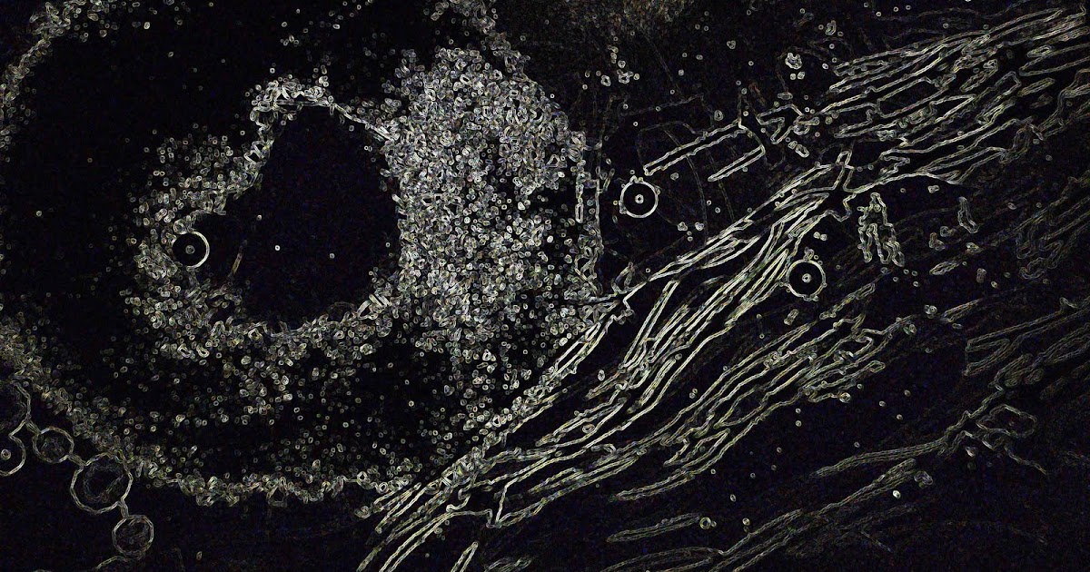 Fernanda's Photos What does a photo sound like? Cameraless Images version