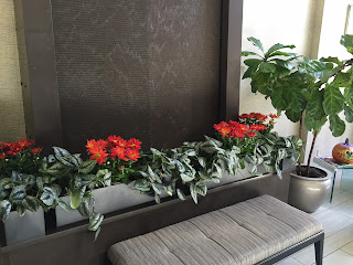 acton ma tropical plant care anf flowers; acton mainterior landscape design;