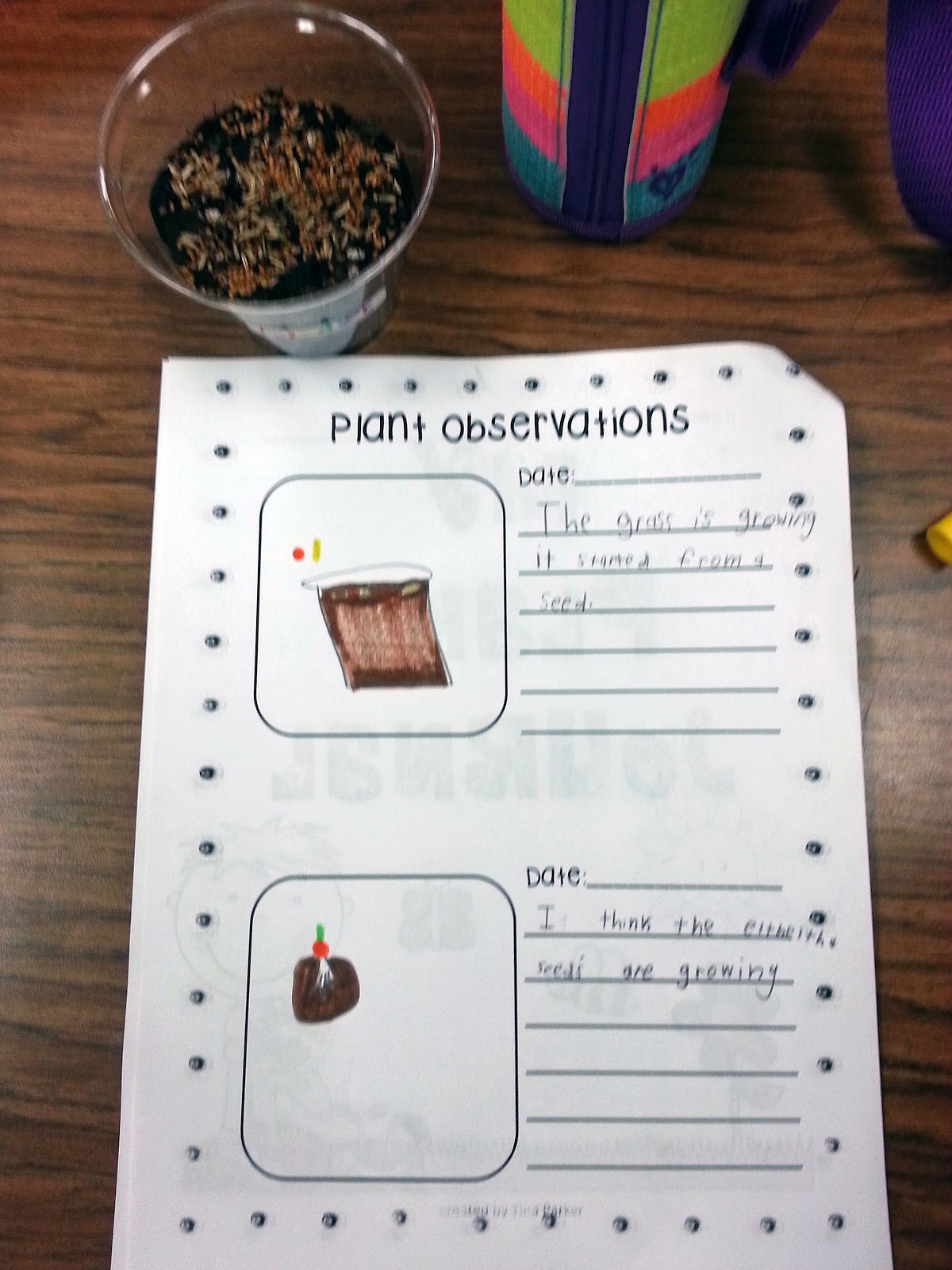 Following First Grade With Mrs Parker Spring Has FINALLY Sprung following-first-grade-with-mrs-parker-spring-has-finally-sprung