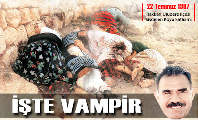 SivriSinekCaz.bmp