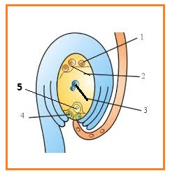 BIOLOGI GONZAGA: TRY AND ERROR 8