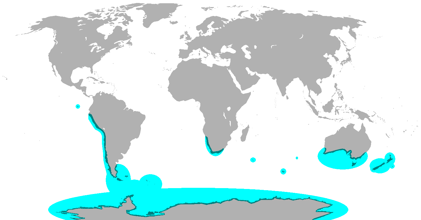 The range of the penguin