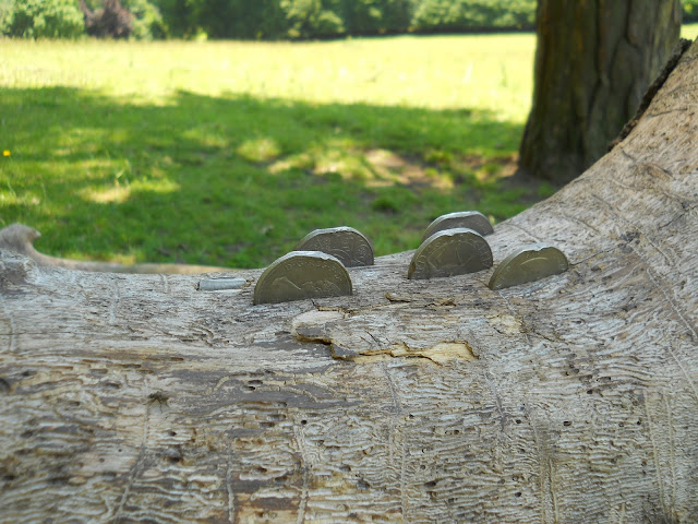 coin tree