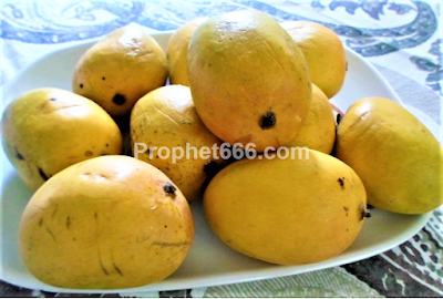 Spell to Attract Lover Using Mango