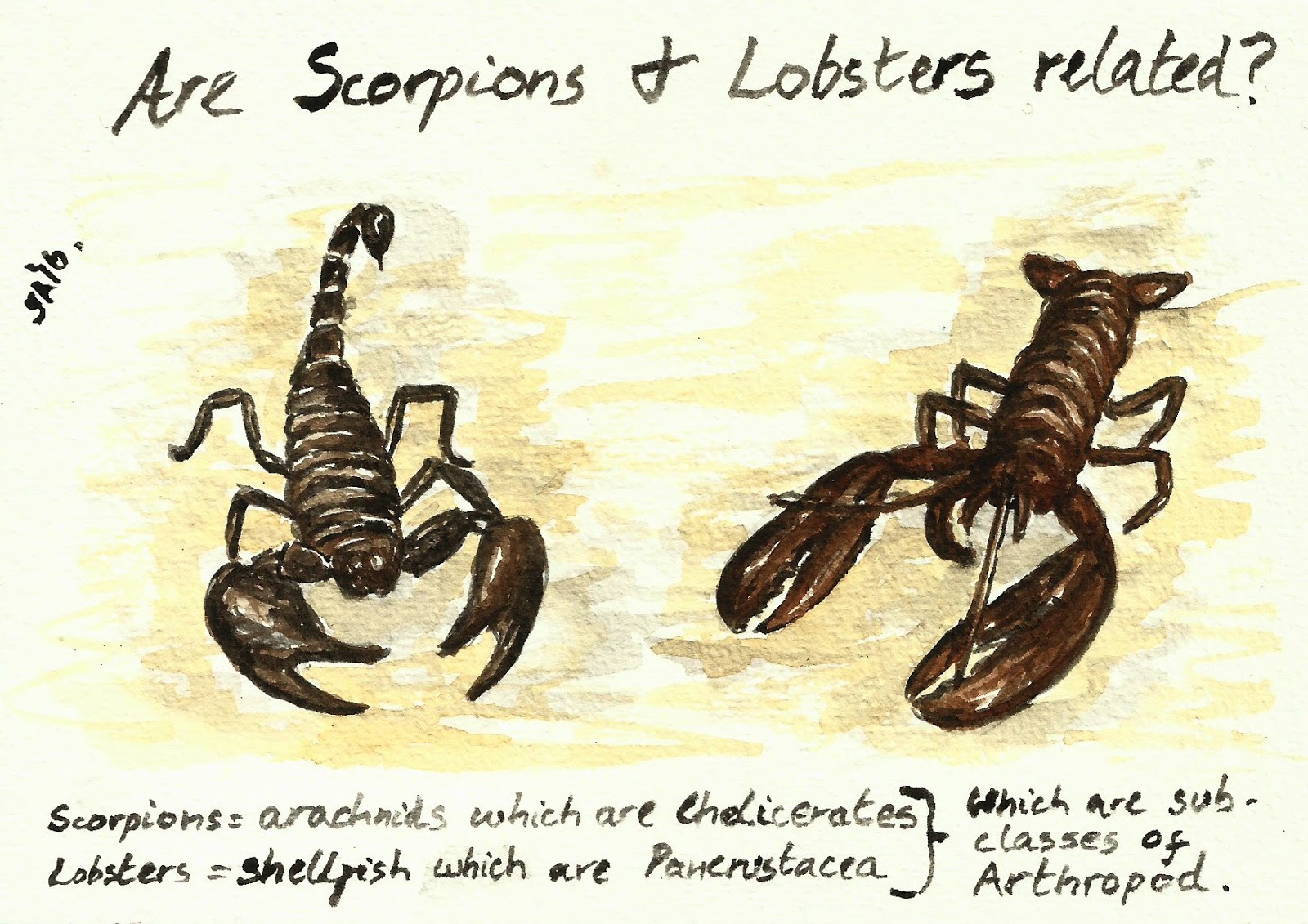 Random Thoughts of a Bored Artist 2.0 Day 365 Are Scorpions