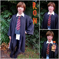 ron hermione harry costumes hogwarts halloween did simple were wigs pies princesses pizzazz preschool obtain fairly though actually