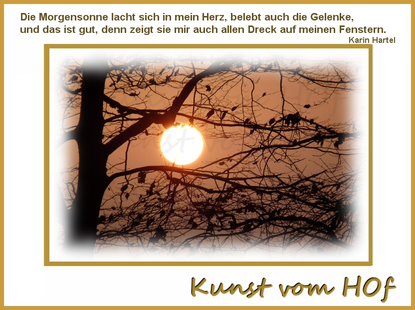 10 Tag Panikattaken Und Lesungen Lilies Diary Der Alltagliche