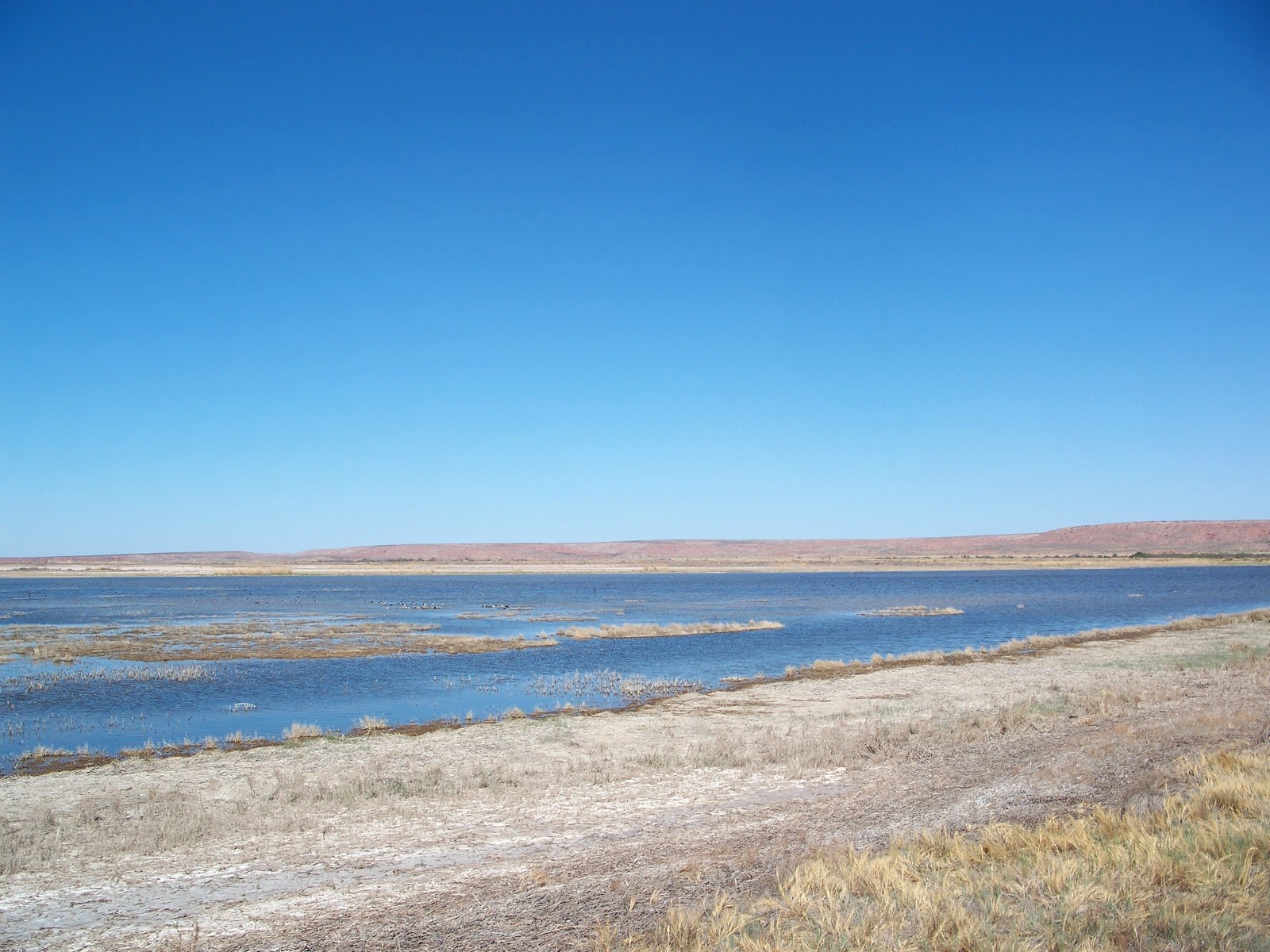 The Road Bitter Lake National Wildlife Refuge