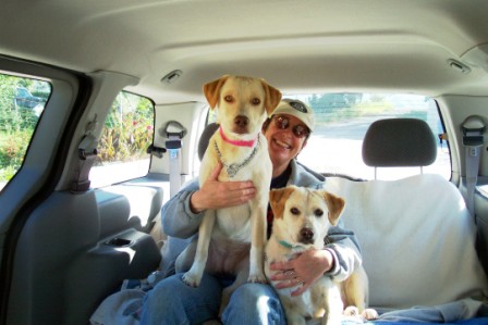Dogs Day Inn Boarding Apple Valley Dogs Day Inn Boarding Apple Valley