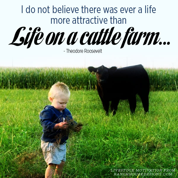 Ranch Quotes QuotesGram ranch-quotes-quotesgram