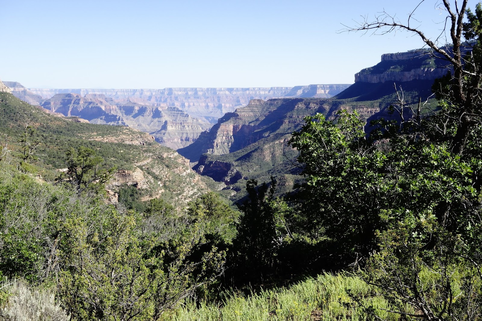 Saumya's Hiking Trips: Grand Canyon (Powell Plateau): July 2016