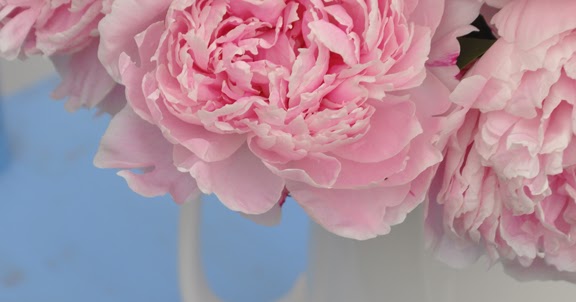 Three Dogs in a Garden Roses, Peonies and Foxgloves
