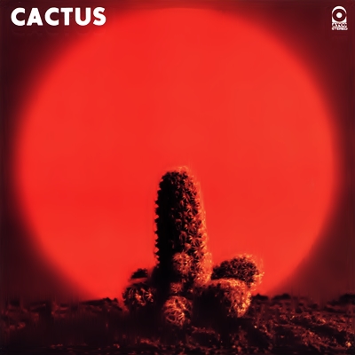 Blues-Rock Invasion with Popuheads - Página 3 Cactus