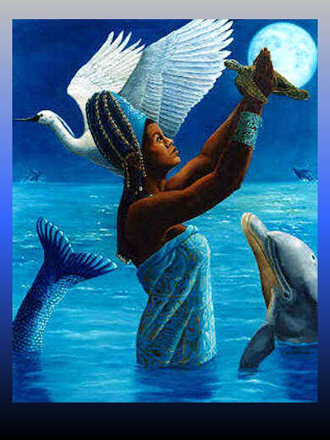 Yemany-a en el mar jugando con los delfines