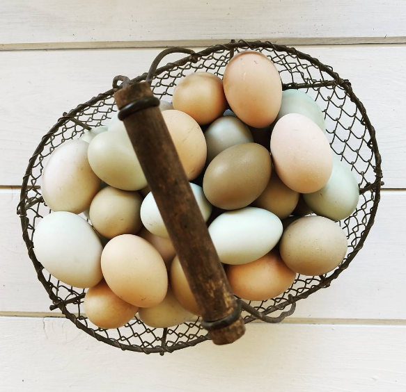 Stay Healthy: How to Safely Clean and Store Your Farm Fresh Eggs –  Prairie's Choice