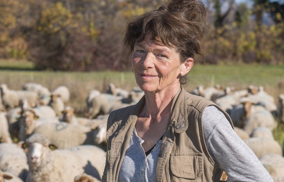 Open zee, Catherine Poulain