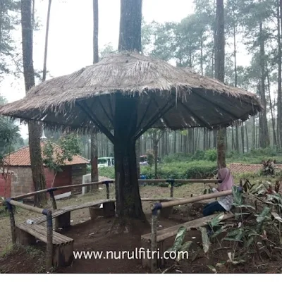 Gazebo di Tempat Wisata Hutan Pinus Cikole Lembang Bandung