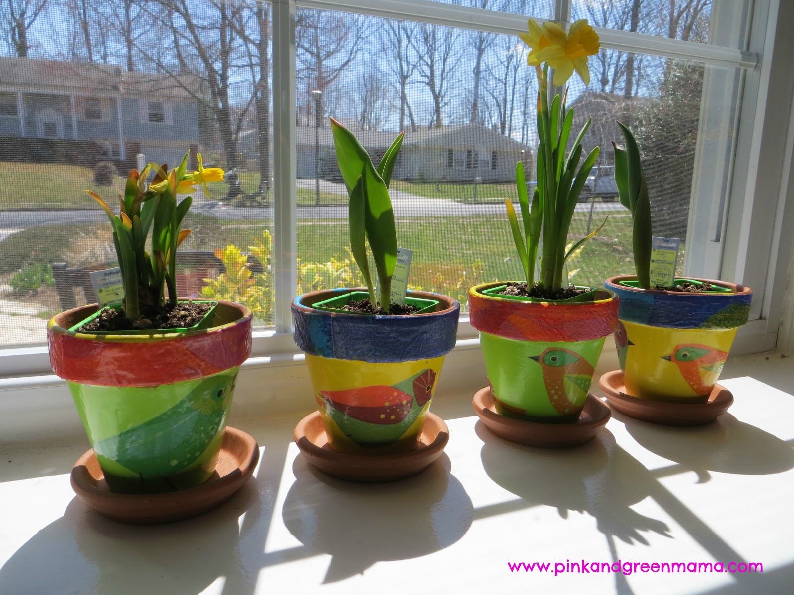 Pink and Green Mama Spring Windowsill Garden For Children with DIY