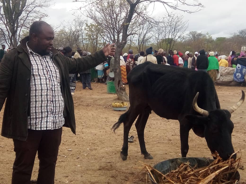 Hwarare donates 4 000 litres of molasses to Chivi The Mirror Hear and be Heard