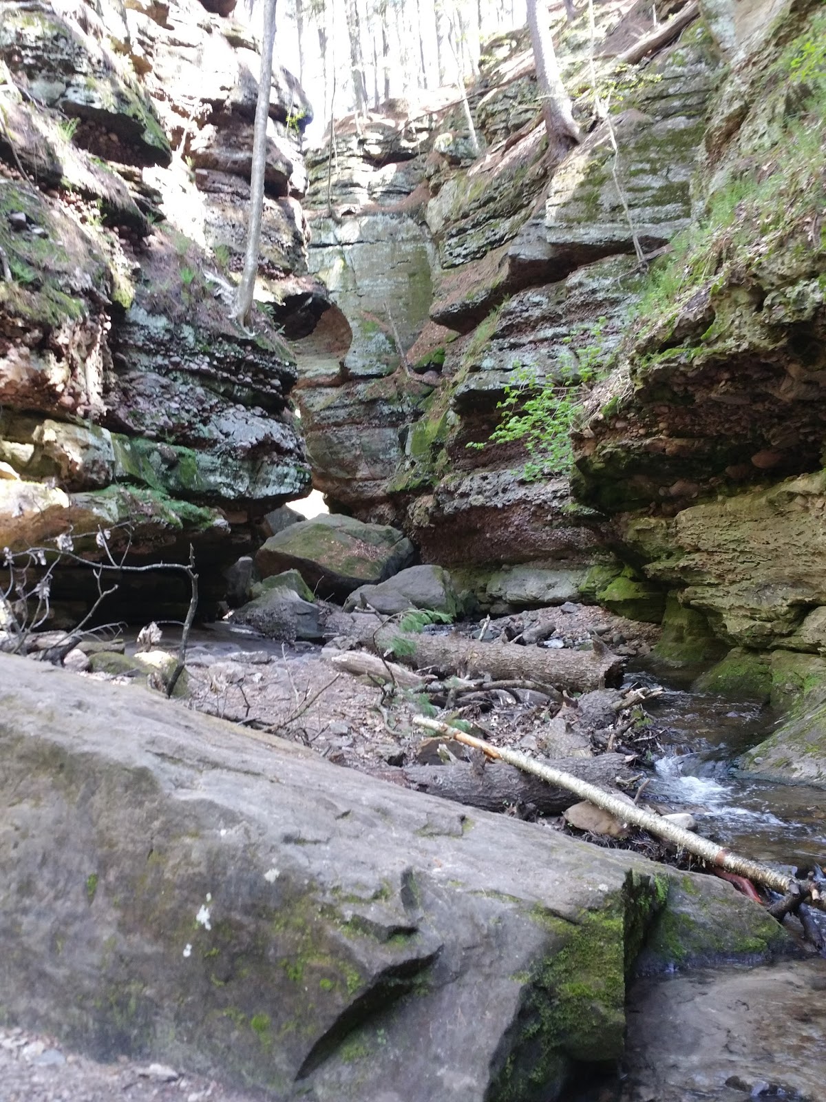 Wisconsin Excursions PARFREY'S GLEN STATE NATURAL AREA