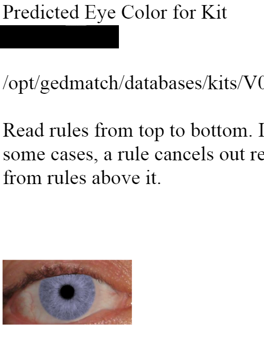 www.gedmatch.com_eye_color_pred2.php_u%253D20084%2526kit_num%253DSQ3125703%2526xsubmit%253DPredict%252BColor.png