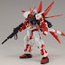 HG 1/144 Astray Red Frame (Flight Unit) review 