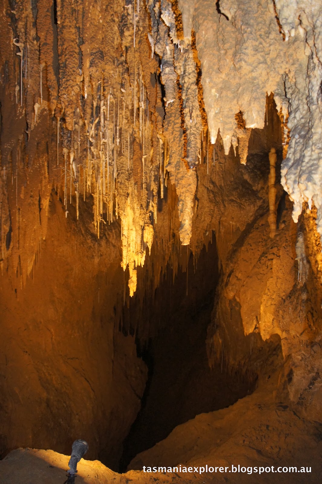 EXPLORING TASMANIA Snapshot Hastings Caves and Thermal Springs