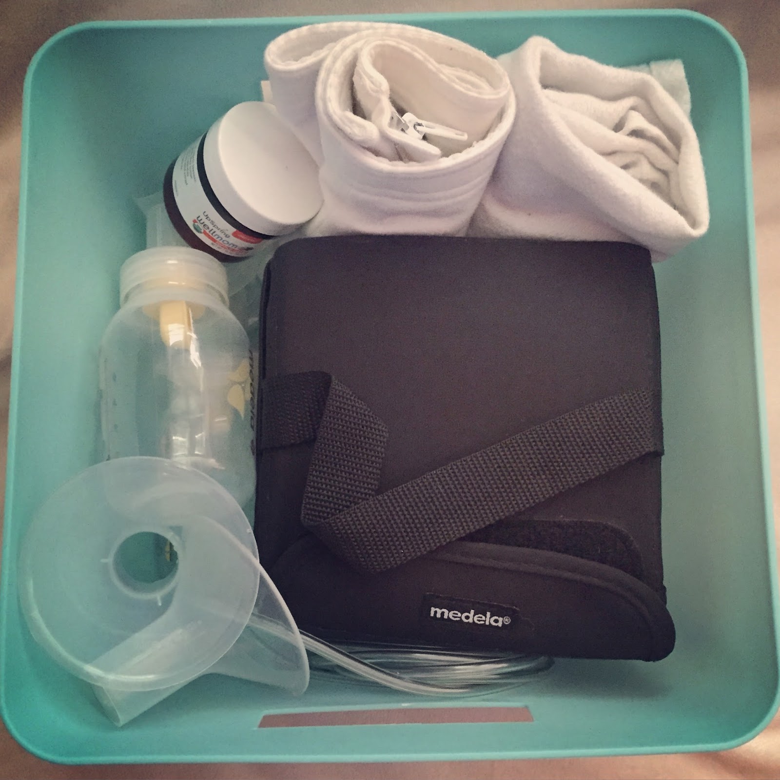 Faith, Trust, & Pixie Dust 12 Pumping Essentials