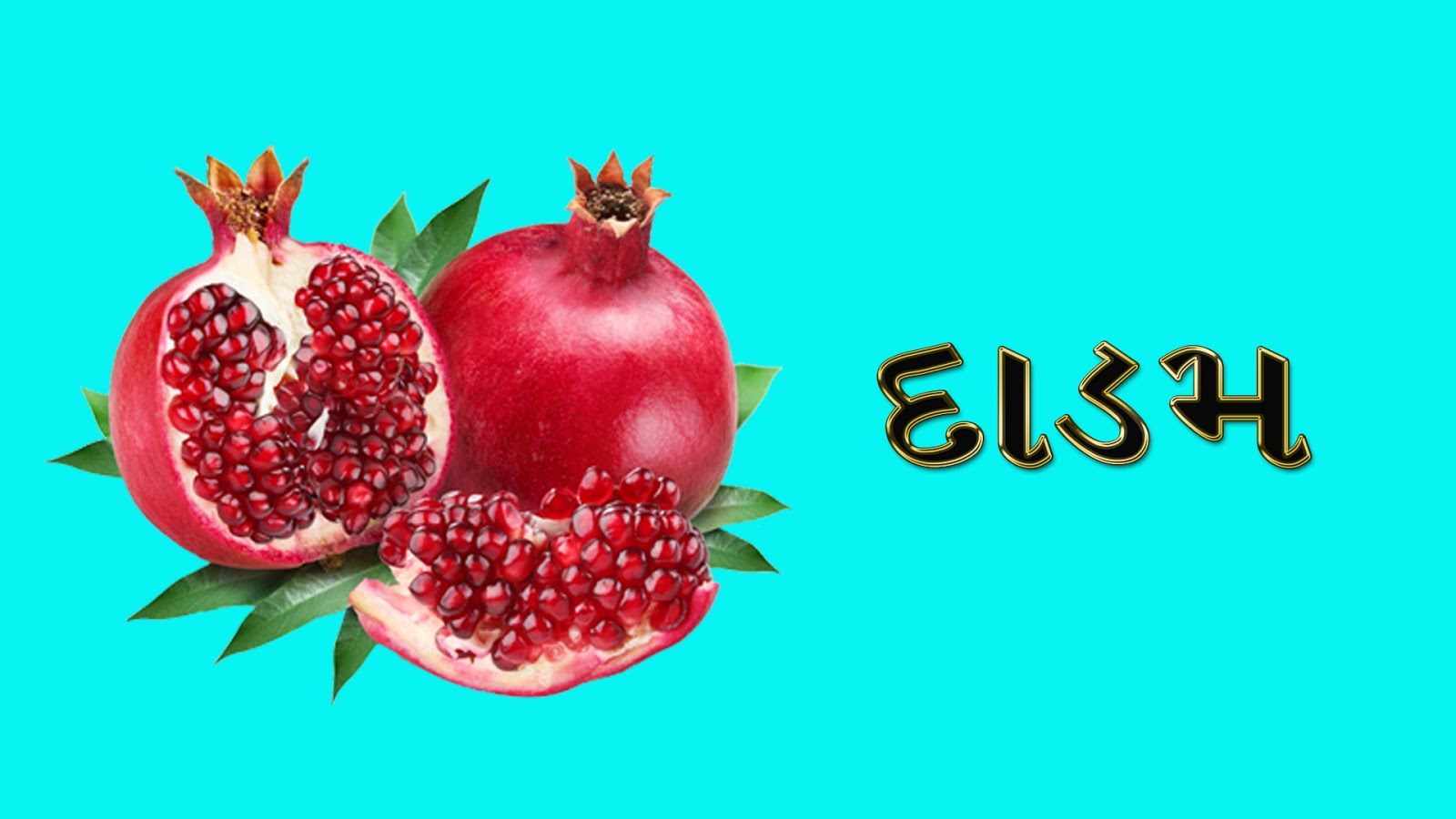 Fruit name in Gujarati