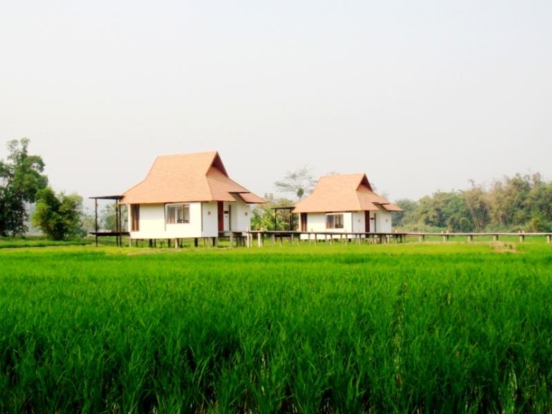 ล าส ดก บ 25 ท พ กดอยแม สลอง งามแต ๆ ราคาประหย ด พร อมเบอร โทรต ดต อ บ านพ กชมทะเลหมอกสวยๆ มาให เล อกก นจ า ค ณนายเว อร เทอร ชอบเท ยวก นนอน