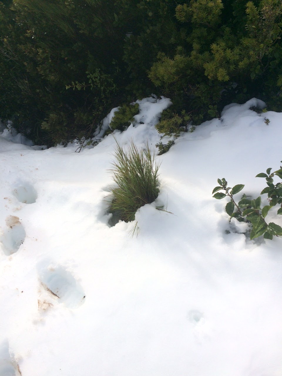 Explore and Discover Nature Hail and Snow what's the difference? and