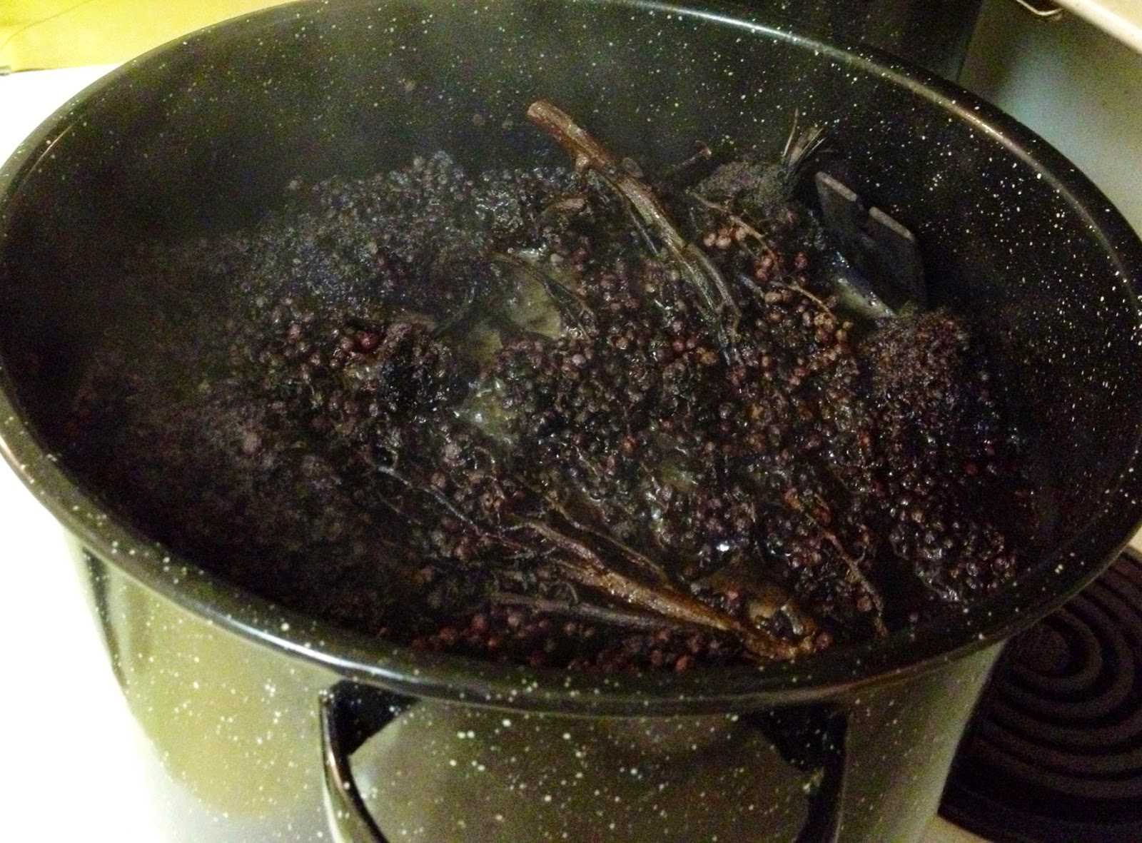 The Inconsequential Blogger Dyeing with sumac berries