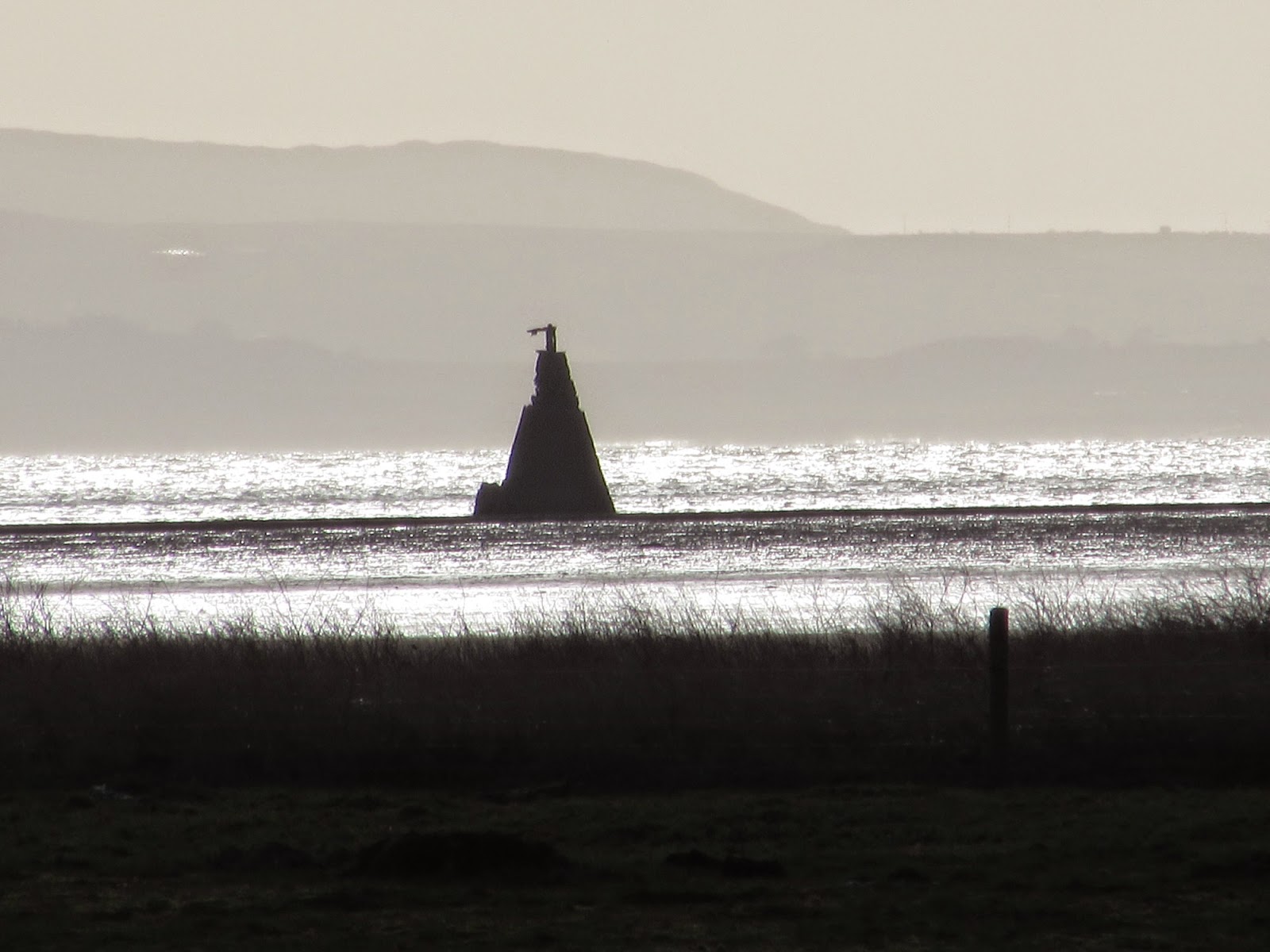 The Glebe Blog Wigtownshire RamblersSt Helena IslandGlenluce Abbey January 2015