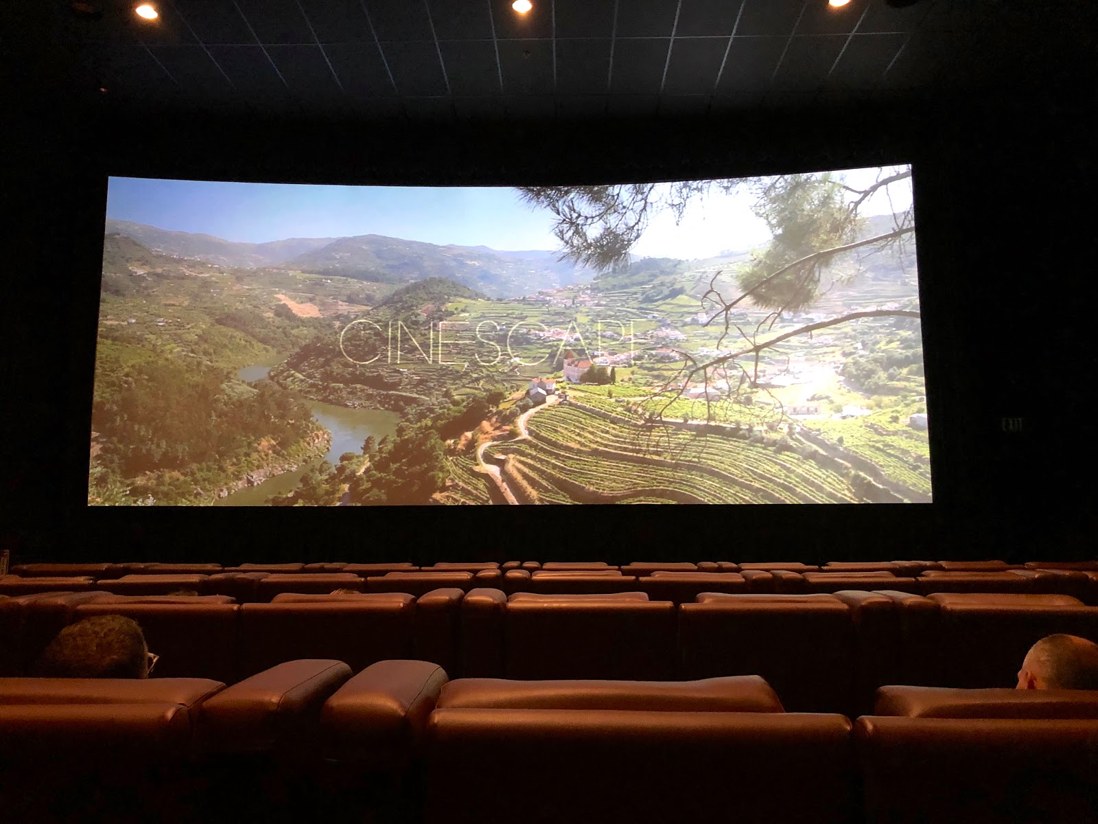 Cinébistro at Waverly Place Review Cary, NC Blue Skies for Me Please