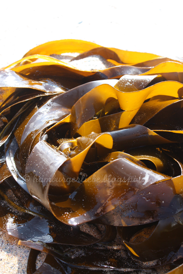 Hamburger Liebe: Juli 2011