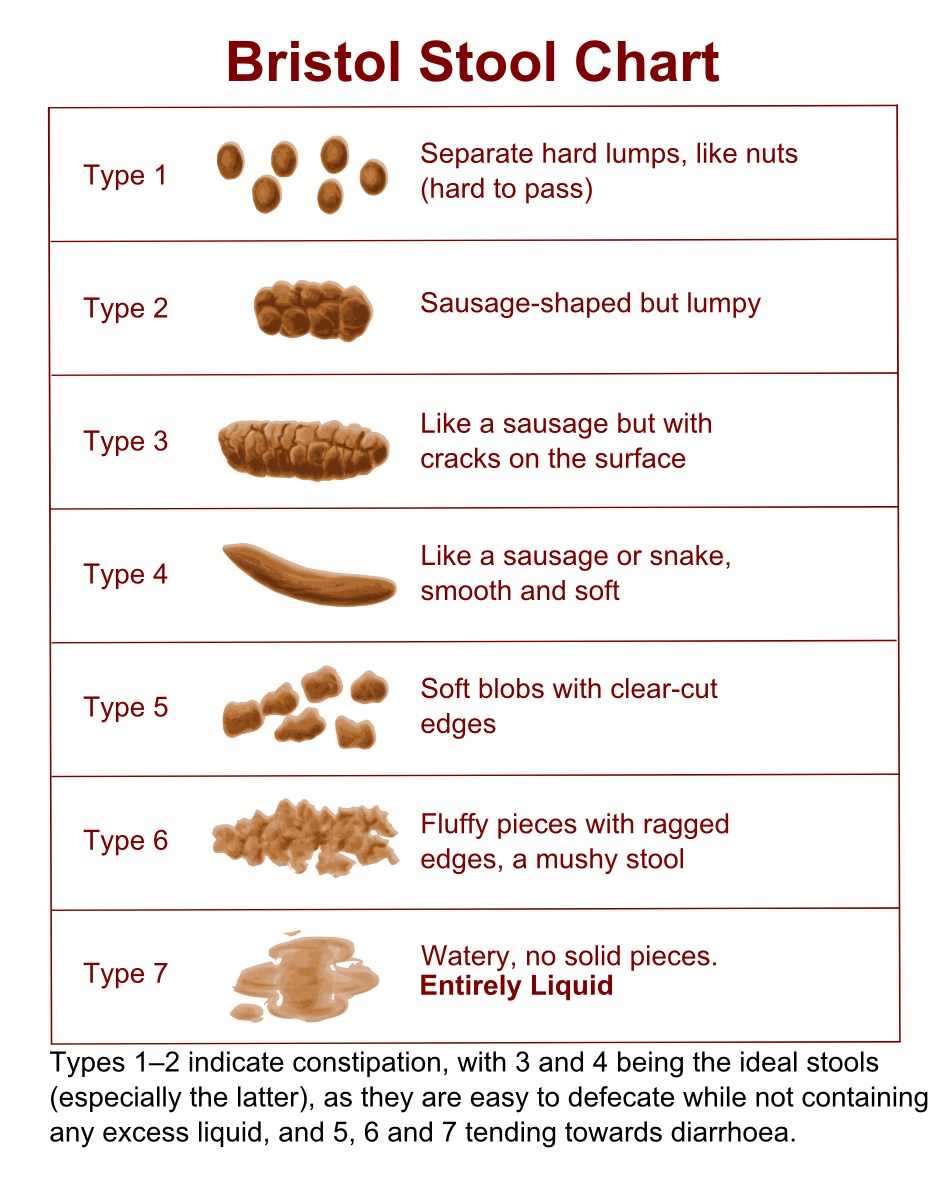 Bristol Stool Chart Uk of the decade The ultimate guide | stoolz