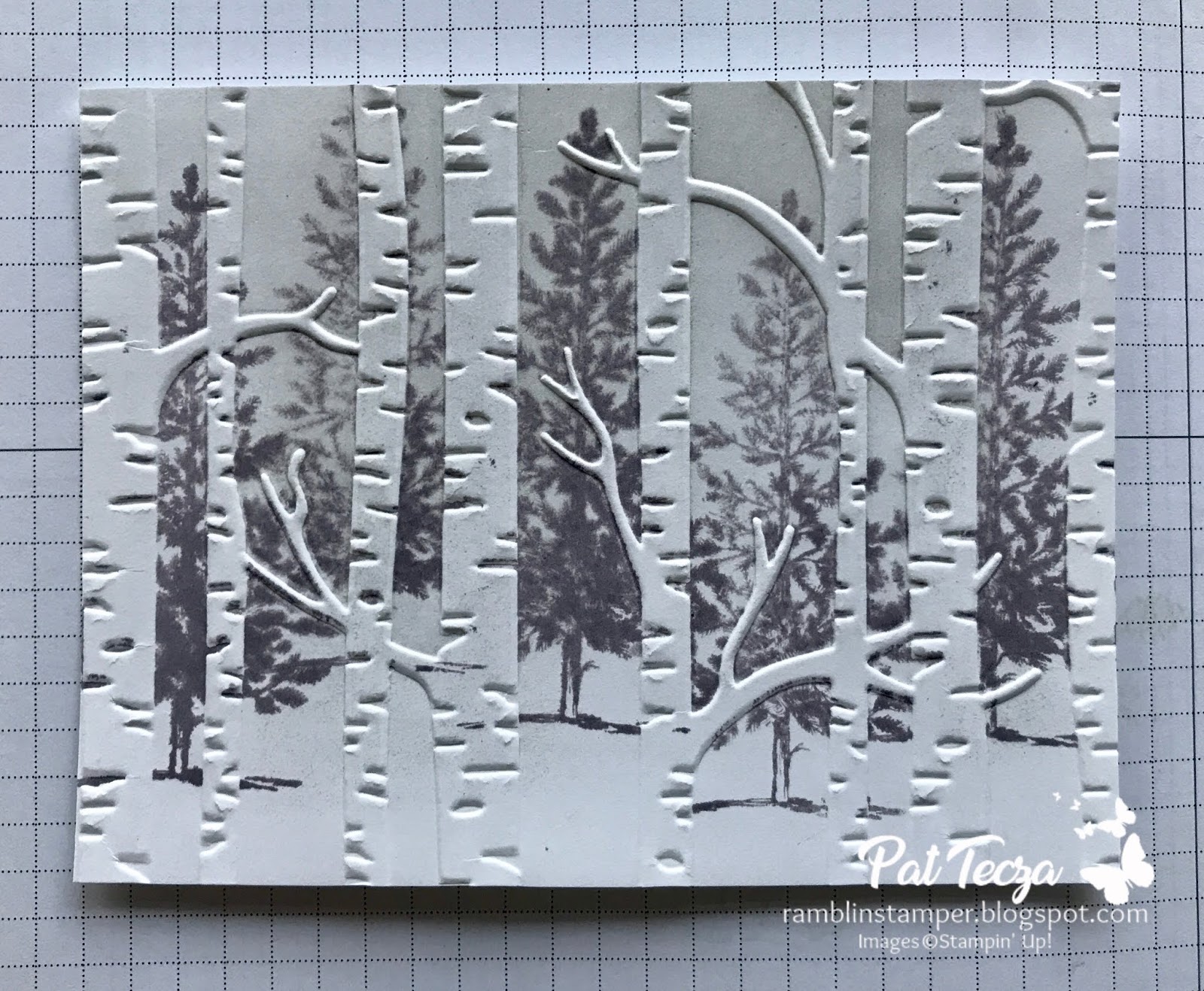 Ramblin' Stamper Bringing Home the Tree Fun Embossing Folder Tutorial