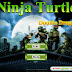 Ninja Turtle Double Dragons Play Online