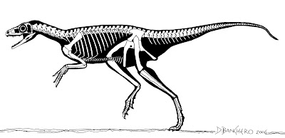 Eoraptor