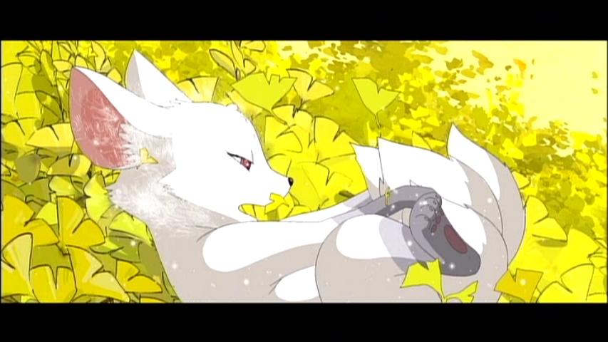 Шутки про лису. Клип лисичка. Lisa blackpink 2021. Лиса. Лиса 20.